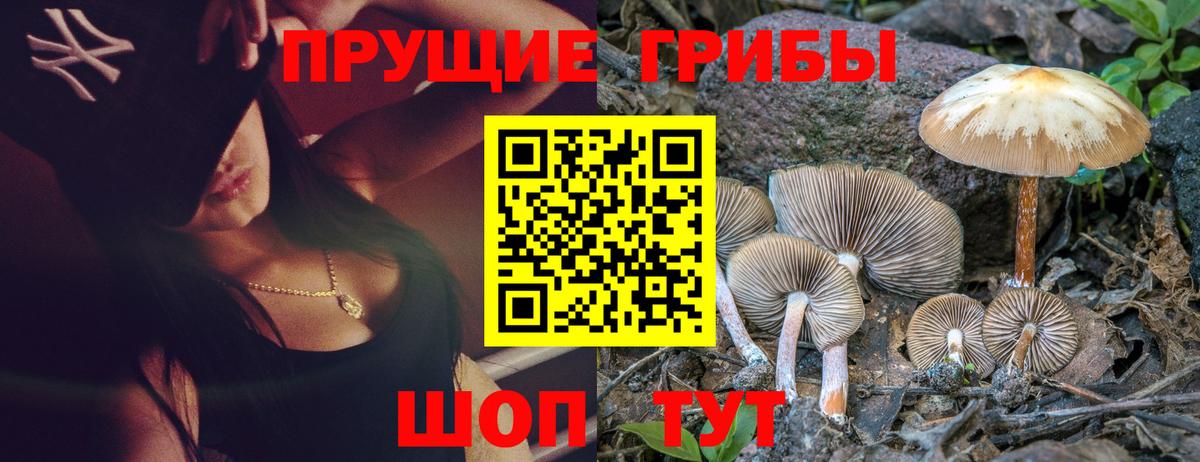 Псилоцибиновые грибы мухоморы  Вход с VPN  Псилоцибиновые грибы MAGIC MUSHROOMS  где найти   Петропавловск-Камчатский 
